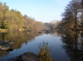La Mayenne à Montgiroux
