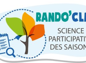 logo bandeau CMJN