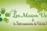 Page d'acceuil FB grain V4-1